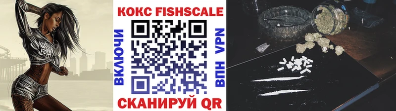 купить  сайты  Киселёвск  Cocaine Fish Scale 