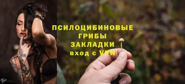 эйфоретик Богородск